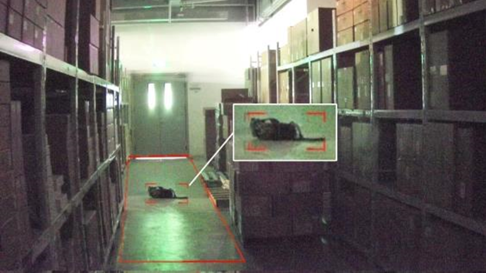 首页| 尊龙集团中国官方网站