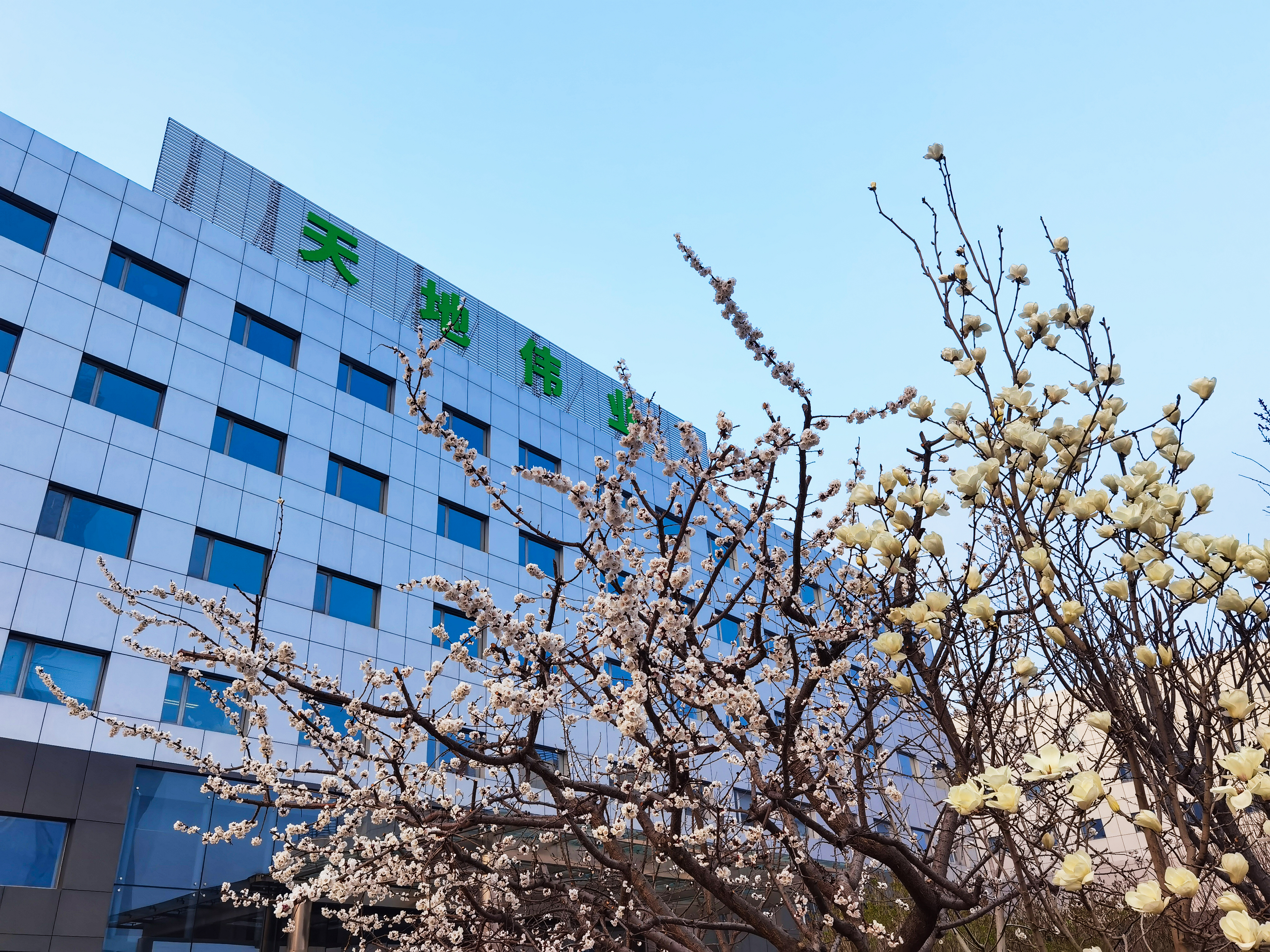 首页| 尊龙集团中国官方网站