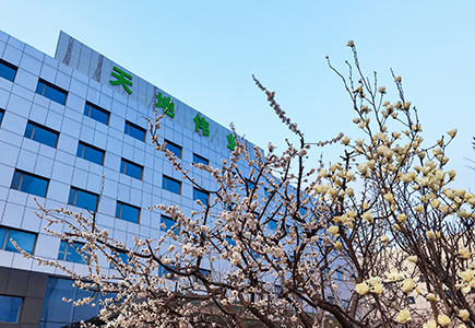 首页| 尊龙集团中国官方网站