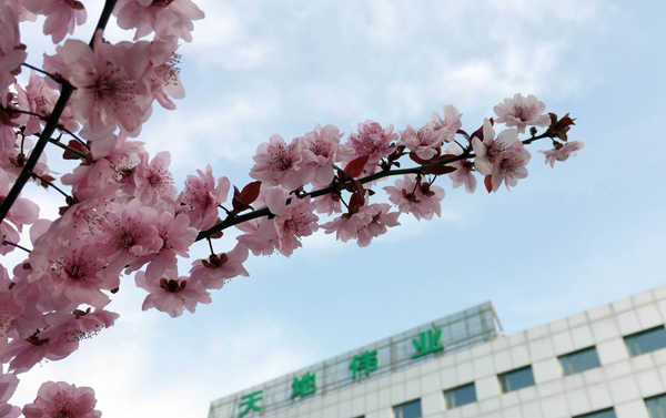 首页| 尊龙集团中国官方网站